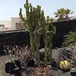 Casa Mcelroy Tias