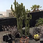 Casa Mcelroy Tias